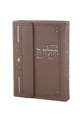 Siddur Pocket with Tehillim Magnet Leather-like Pearl-Pink